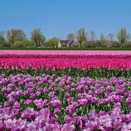 572 Op Recreatiepark De Wielen